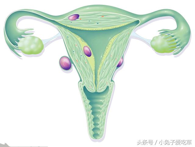 42岁女性月经不调,42岁女人月经不正常怎么回事