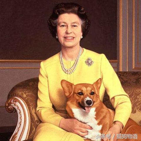 女王最喜欢哪个柯基,女王最喜欢的柯基犬