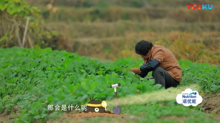 没有豪华阵容，也没有过度炒作，《爸哪5》为什么这么好看？