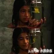 水族电影科幻,水族剧情视频