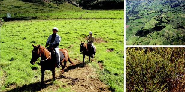 在新西兰我连吃两顿杭伊,还和毛利武士干了一架|出发吧