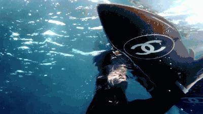 放弃吧｜这些大牌周边，想都想不到