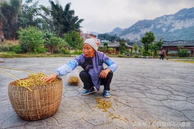 坝美世外桃源简介,坝美世外桃源旅游怎么样