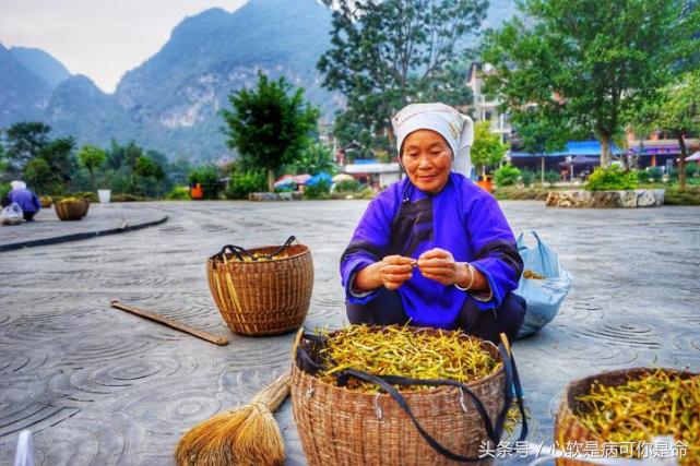 坝美世外桃源简介,坝美世外桃源旅游怎么样