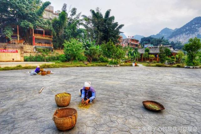 坝美世外桃源简介,坝美世外桃源旅游怎么样