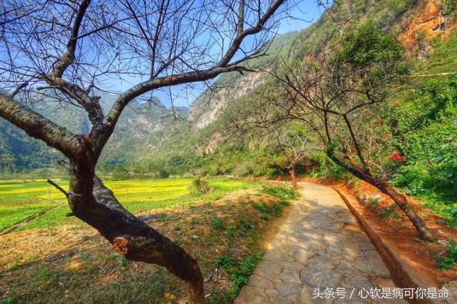 坝美世外桃源简介,坝美世外桃源旅游怎么样