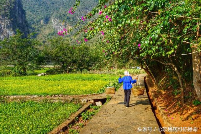 坝美世外桃源简介,坝美世外桃源旅游怎么样