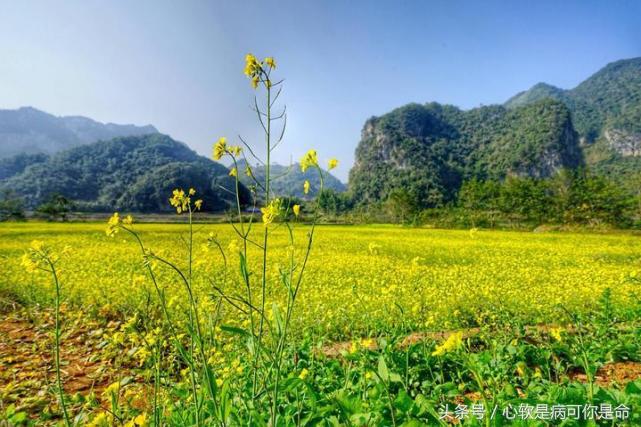 坝美世外桃源简介,坝美世外桃源旅游怎么样