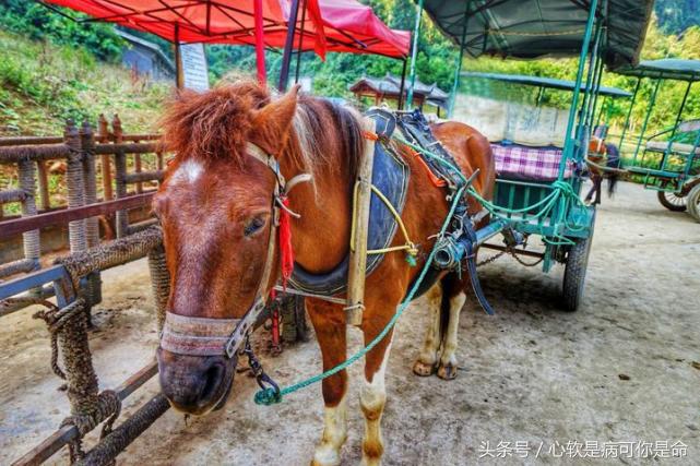 坝美世外桃源简介,坝美世外桃源旅游怎么样