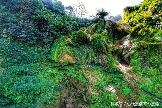 坝美世外桃源简介,坝美世外桃源旅游怎么样