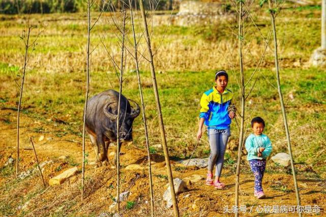 坝美世外桃源简介,坝美世外桃源旅游怎么样