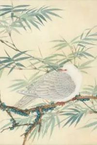 本周末上海有什么展,上海本周末精彩活动