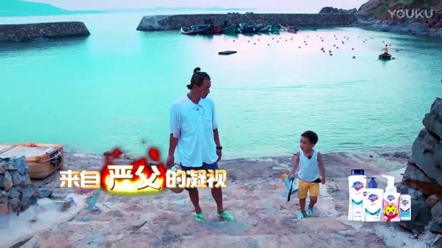 没有豪华阵容，也没有过度炒作，《爸哪5》为什么这么好看？