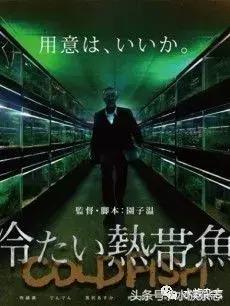 水族电影科幻,水族剧情视频