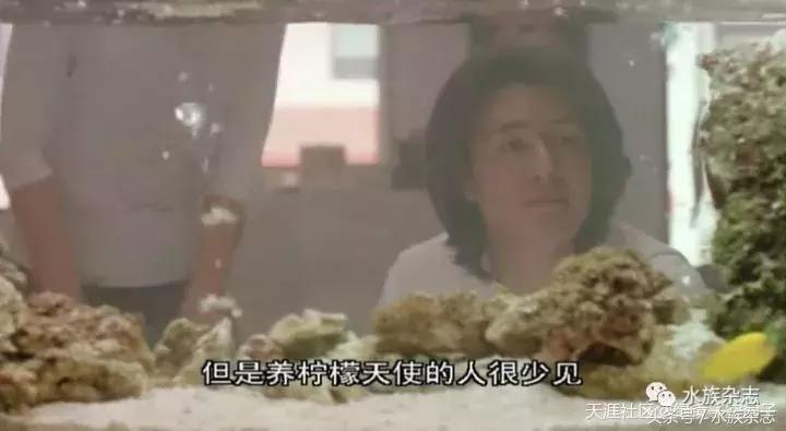 水族电影科幻,水族剧情视频