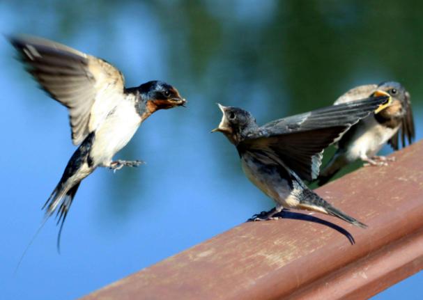 怕病，怕死，怕老，怕不能和你一起远行……