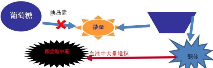 麦吉减肥法靠谱吗,麦吉减肥法会导致皮肤变差吗