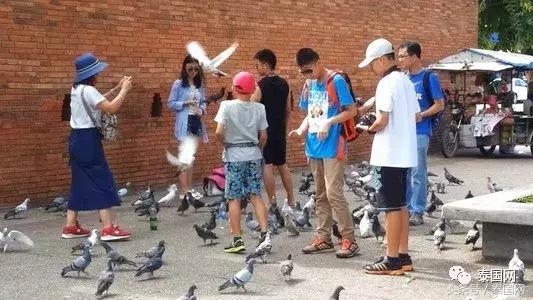 泰国记者谈中国人,泰国记者介绍西双版纳视频