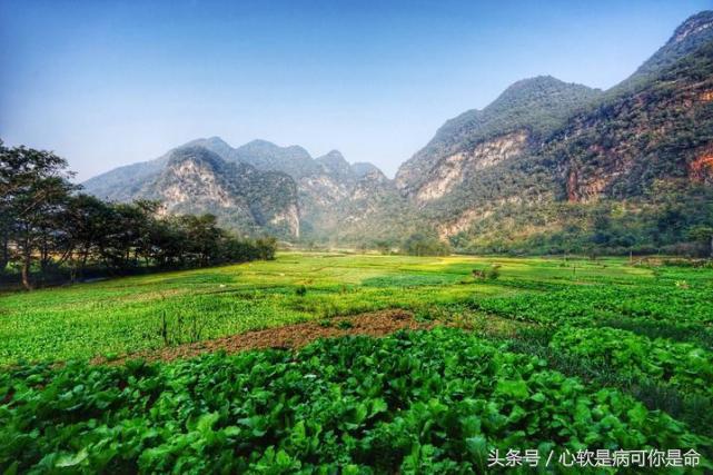 坝美世外桃源简介,坝美世外桃源旅游怎么样