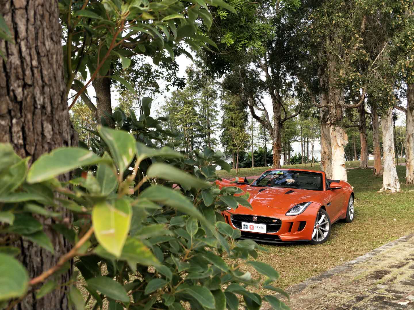 捷豹车被吐槽,捷豹汽车排气声浪低沉