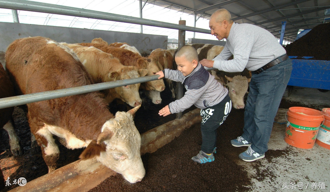 合作社最新补贴,合作社补贴2023年政策