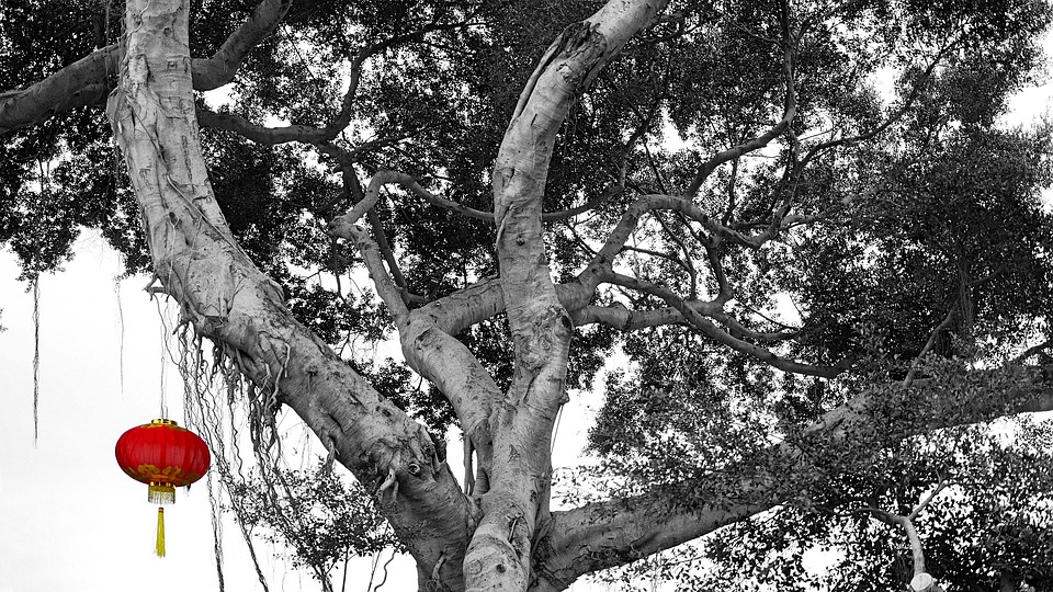 小说：生死之际，小伙用秘法吸收了*教魔**高手的内力，成功完成反杀