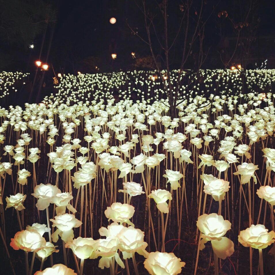 意境微信头像,意境微信相册封面图