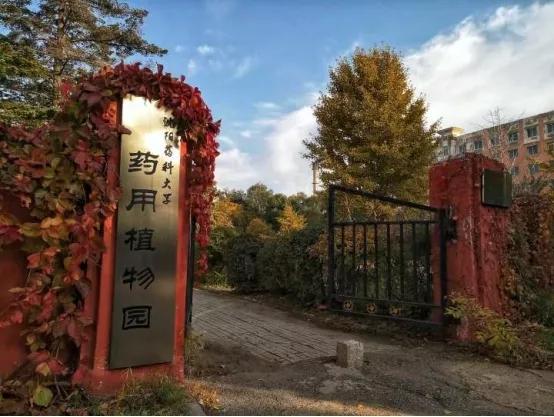 在茫茫人海一眼认出你,在茫茫人海中一眼认出你视频