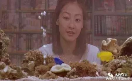 水族电影科幻,水族剧情视频
