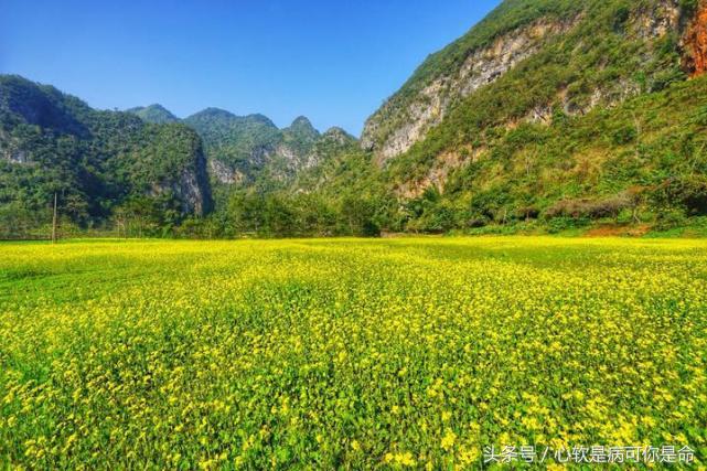 坝美世外桃源简介,坝美世外桃源旅游怎么样