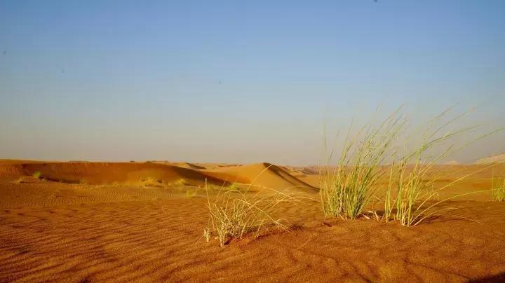 刺激的游乐场把男生吓哭了,刺激的游乐项目把人吓死