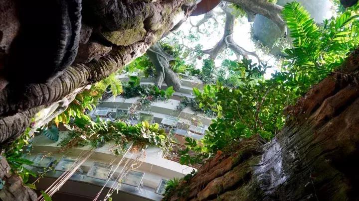 刺激的游乐场把男生吓哭了,刺激的游乐项目把人吓死