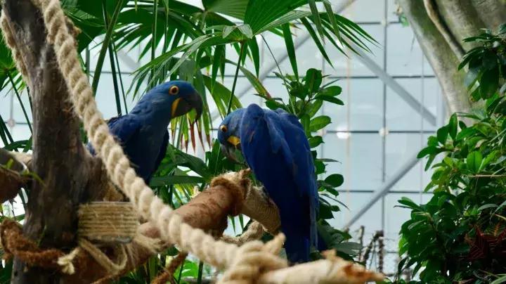 刺激的游乐场把男生吓哭了,刺激的游乐项目把人吓死