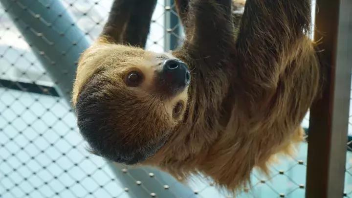 刺激的游乐场把男生吓哭了,刺激的游乐项目把人吓死