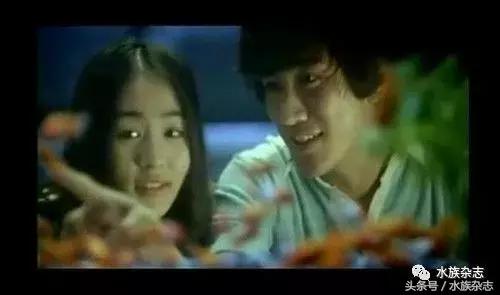 水族电影科幻,水族剧情视频