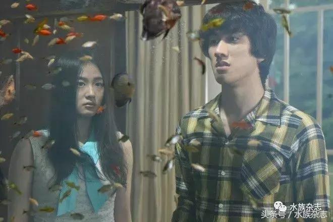 水族电影科幻,水族剧情视频