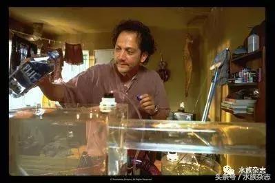 水族电影科幻,水族剧情视频