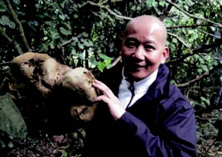 在新西兰我连吃两顿杭伊,还和毛利武士干了一架|出发吧