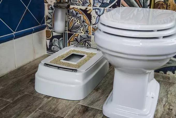 老是丢三落四忘带东西怎么办,老是丢三落四的怎么办