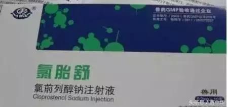 治猪病的草药,什么药能治猪的百病