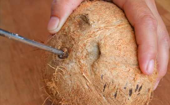 椰子怎么打开最简单方法,椰子怎么打开教学