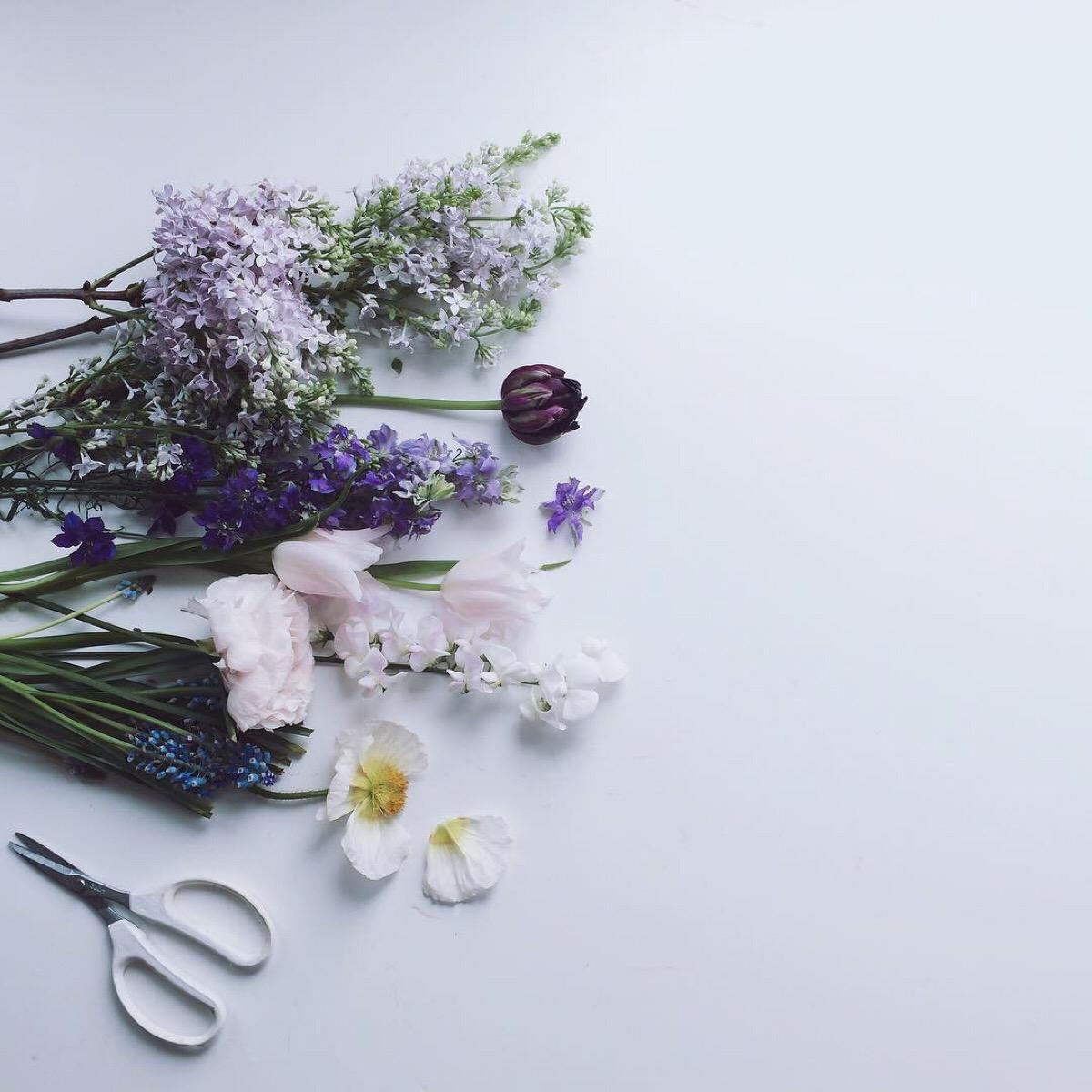 意境微信头像,意境微信相册封面图