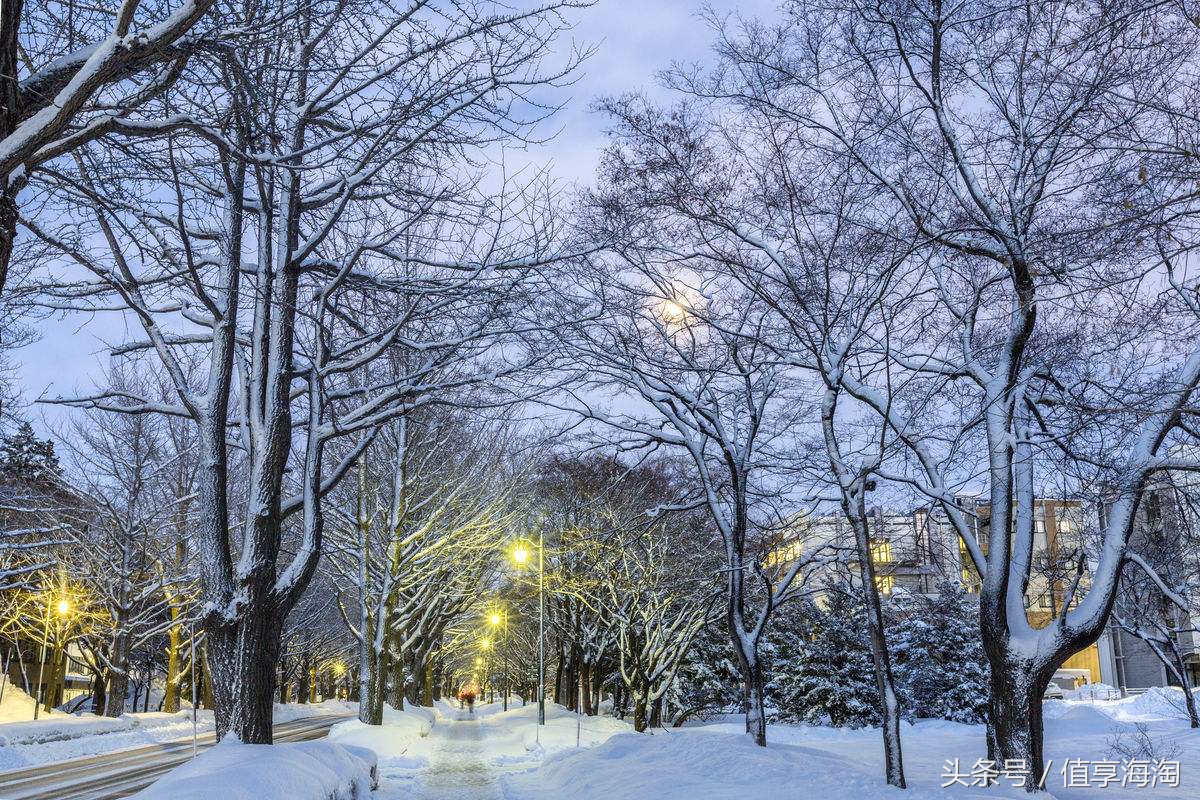 日本九州红叶温泉旅游攻略,日本旅游攻略北海道温泉
