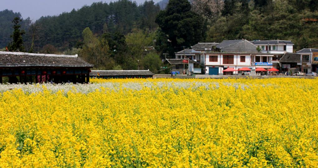 沪昆高速从长沙到贵阳段的风景,沪昆高速贵阳沿途风景