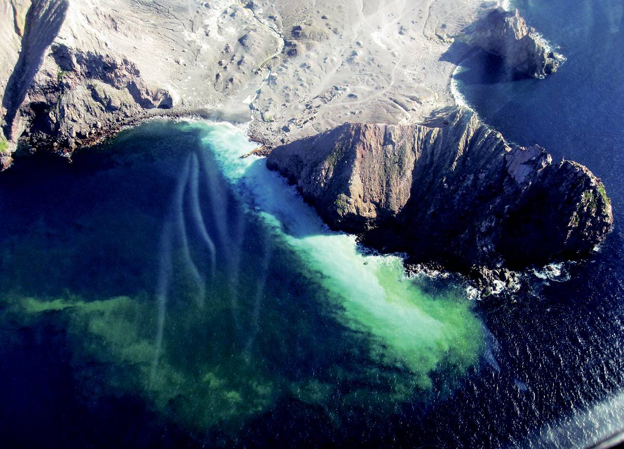 在新西兰我连吃两顿杭伊,还和毛利武士干了一架|出发吧