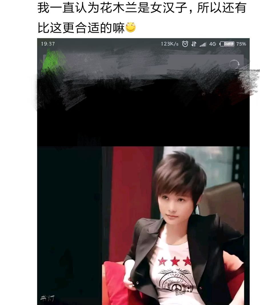 刘亦菲花木兰有多好,刘亦菲花木兰反派