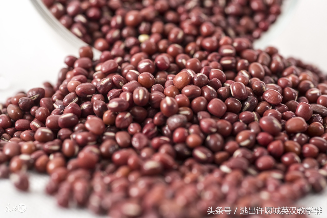 对不好对联，写不好排比句，学不好英语，快学词类知识