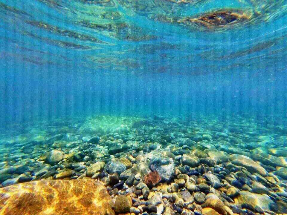 越南游记视频,越南芽庄游记作文600字