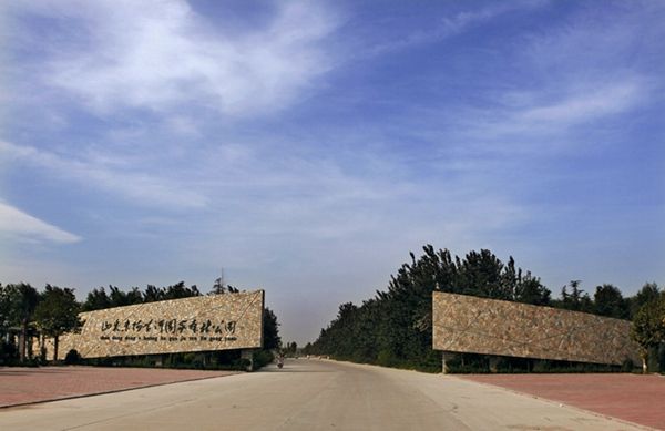 山东东阿县阿胶,山东省东阿阿胶厂