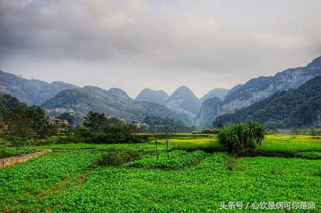 坝美世外桃源简介,坝美世外桃源旅游怎么样